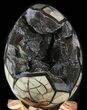 Septarian Dragon Egg Geode - Black Crystals #48005-1